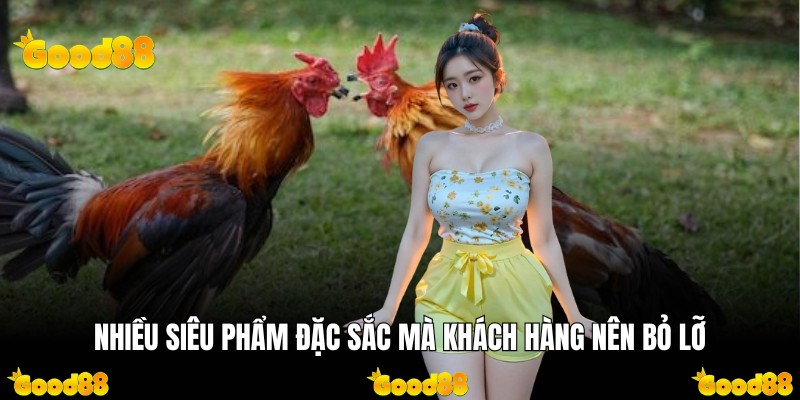 Nhiều siêu phẩm đặc sắc mà khách hàng nên bỏ lỡ