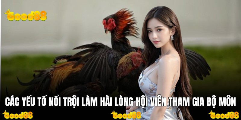 Các yếu tố nổi trội làm hài lòng hội viên tham gia bộ môn