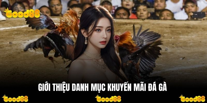 Những nét chính về chuyên mục khuyến mãi đá gà